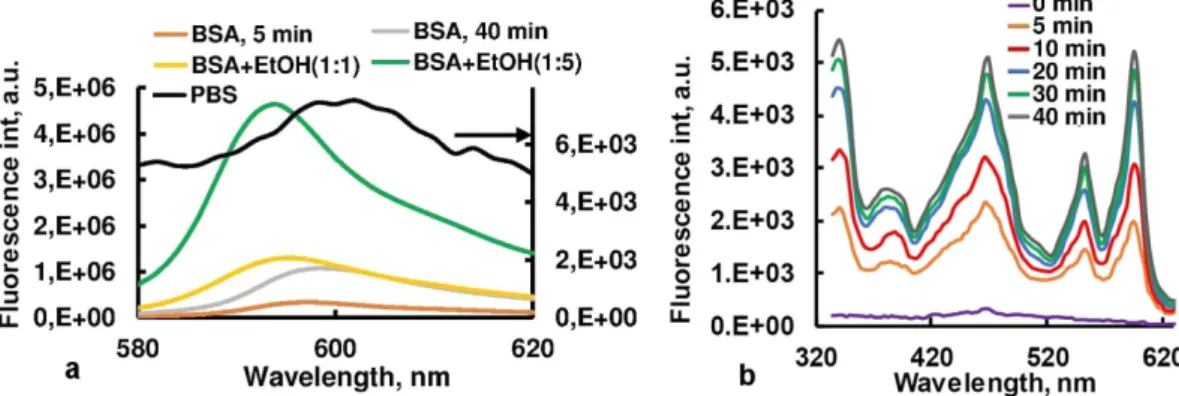 Figure 7. (a) Kinetics of Hyp florescence registered at 594 nm (maximum of fluorescence spectrum of Hyp-