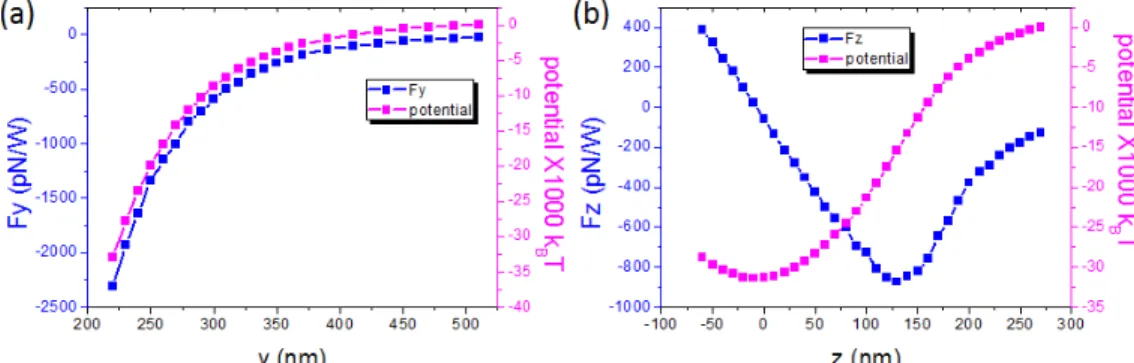 Fig. 4. (a) Evolution of F y  and distribution of trapping potential when the PS moves toward the  waist in –y direction (x = 0 and z = 0)