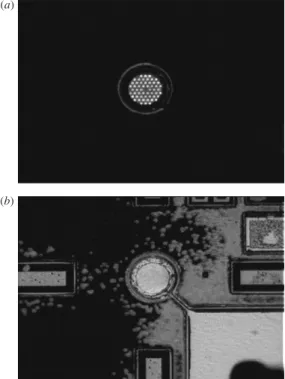 Figure 7. Micrographs of the (a) PhC-LED and (b) LED without PhC at 20 mA. The mesas of the devices are both 60 mm in diameter