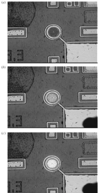 Figure 3. Micrograph of the PhC-LED at (a) 0 mA, (b) 10 mA, and (c) 20 mA. The mesa of the device is 60 mm in diameter