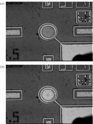 Figure 4. Micrograph of the PhC-LED at (a) 10 mA and (b) 20 mA. The mesa of the device is 68 mm in diameter