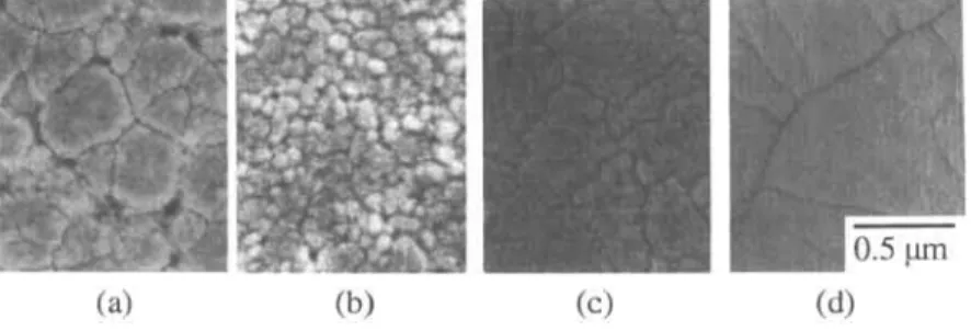 FIGURE 3.  SEM  micrographs of  PZT films  added with (a)  FM, 