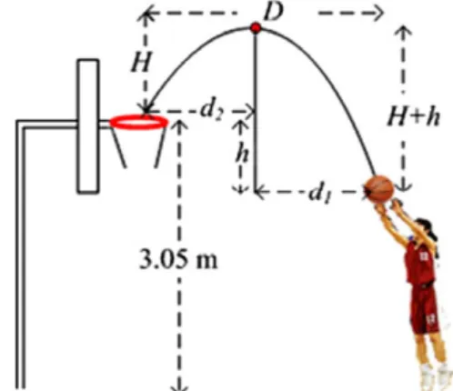 Fig. 13. Diagram of a long shoot.
