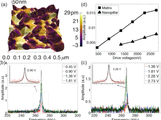 FIG. 4. PmFM of BFO-LMO; (a) am- am-plitude mapping overlaid on the 3D  to-pography; and amplitude-frequency response of (b) BFO matrix and (c) LMO nanopillars at different driving voltages, with the inset showing DHOM fitting; and (d) corrected  ampli-tud