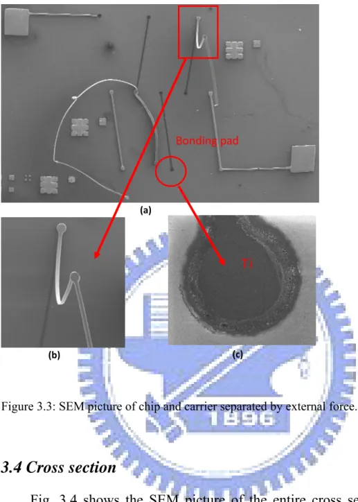Figure 3.3: SEM picture of chip and carrier separated by external force. 