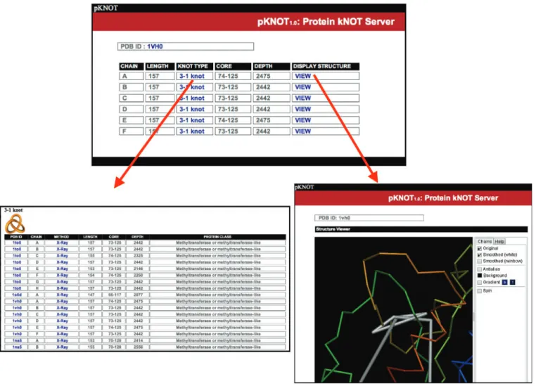 Figure 3. Upon query, the pKNOT server will return a table of the CHAIN, LENGTH, KNOT TYPE, CORE, DEPTH and DISPLAY STRUCTURE (upper center)