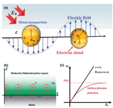 Fig. 1 (a) LSPs con ﬁned in metal NPs. The SPs are excited by the electric ﬁeld (E 0 ) of the incident light of wavelength l in spherical NPs of diameter a