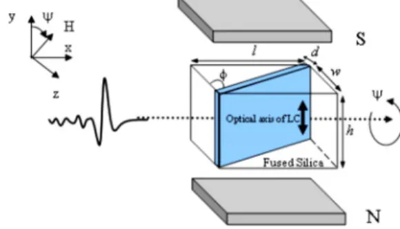 Fig. 1. (Color online) Schematic drawing of the THz