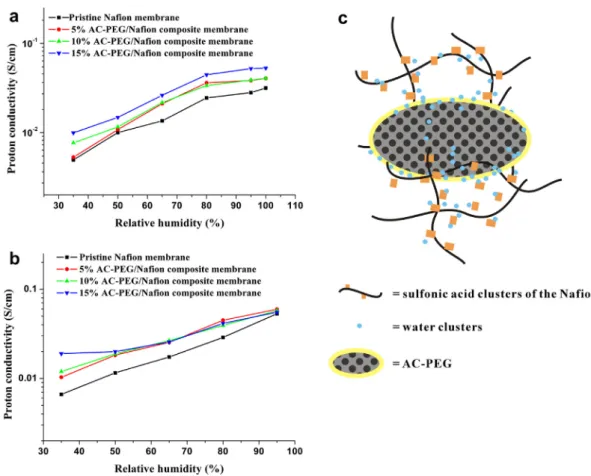Fig. 4 e Proton conductivity of the pristine Nafion membrane and different loading percentage of AC-PEG/Nafion composite membranes as function of RH at (a) 30  C and (b) 80  C