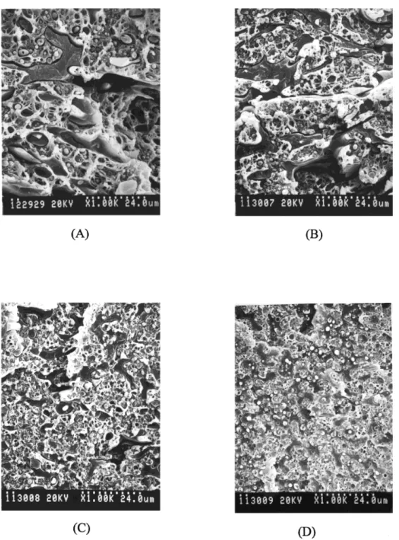 Figure 9. SEM micrographs of the uncompatibilized and compatibilized PA6 / PPE Å 30 / 70 by one-step blending, ( A ) PA6 / PPE Å 30 / 70, ( B ) PA6 / PPE / TGDDM Å 30 / 70 / 0.1, ( C ) PA6 / PPE / TGDDM Å 30 / 70 / 0.3, ( D ) PA6 / PPE / TGDDM Å 30 / 70 / 