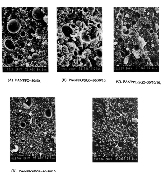 Figure 7  SEM morphologies of fractured surfaces of the PAG/PPO  =  50/50  blends. (A)  PAG/PPO  =  50/50;  (B)  PAG/PPO/SGO  =  50/50/10;  (C) PAG/PPO/SGZ  =  50/50/10;  (D) 