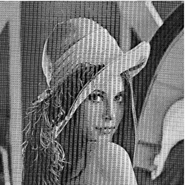 FIG. 4. The test image Lena of size 512 3 512 (8 bpp) pixels.