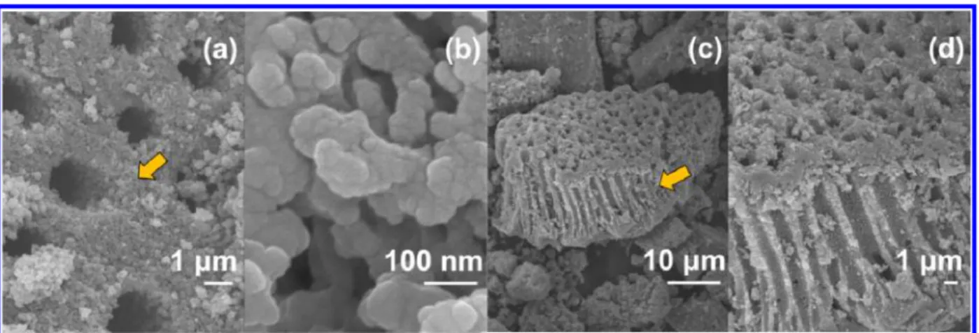 Figure 4. Eﬀect of the amount of yeast on the BET surface areas of the porous materials.