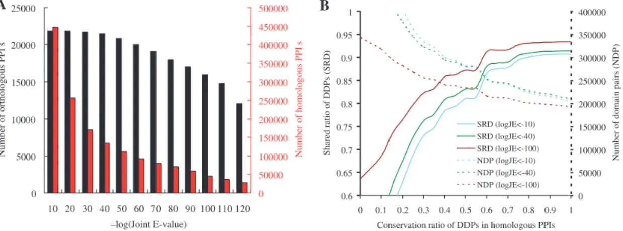 Figure 3. Evaluations of the PPISearch server. (A) The relationships between joint E-value J E and the numbers of orthologous PPIs (black) and