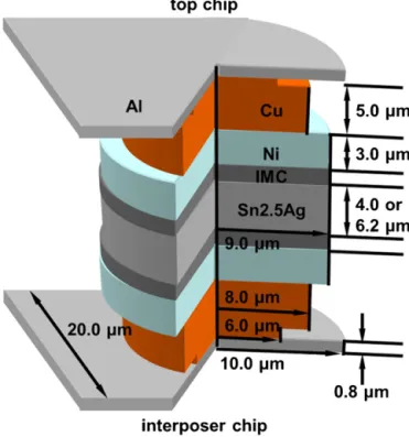 Fig. 1. Schematic diagram of the SnAg2.5 microbumps with Cu/Ni UBMs on both the top chip and the interposer chip.