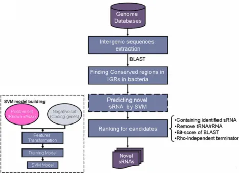 Fig. 1. System organization.