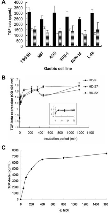Figure 1. Transforming growth factor (TGF)–b production of human gastric epithelial cells induced by Helicobacter pylori (Hp)