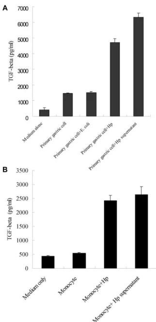 Figure 4. Induction of transforming growth factor (TGF)–b by Helico-