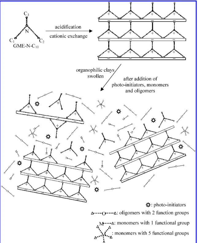 Figure 6. Expected schematic representation in the modification stage of clay lamellae by GME-N-C 10 and the clay lamellae attached with GME-N-C 10