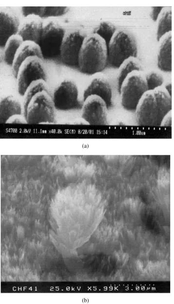 Fig. 1 shows typical SEM morphology images of ver- ver-tically aligned carbon nanotubes of the sample D