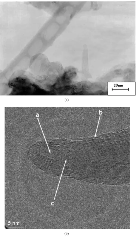 Figure 3 (a) TEM image of CNTs with multi-walled and bamboo-like microstructure, the wall connected with the compartment, being hollow core