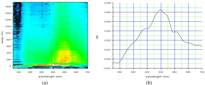 Fig. 2. (a) Two-dimensional display of time-resolved difference absorbance spectra. Black curves show contour of ΔA = 0