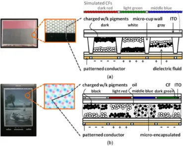 Fig. 2. Schematic diagram of (a) monochromatic micro-cup and (b) full-color micro-encapsulated electrophoretic display