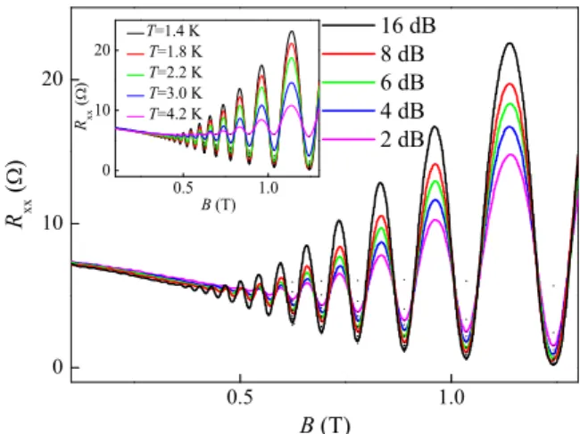 Fig. 1 shows the magneoresistance measurements R xx (B) at