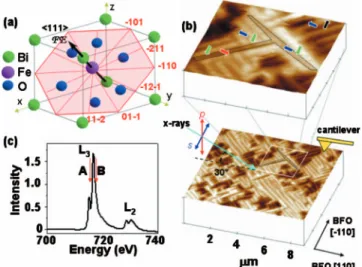 FIG. 1. 共Color兲 Understanding order parameters in multiferroic BFO. 共a兲 Schematic of 共001兲-oriented BFO crystal structure with polarization along 具111典 and predicted perpendicular easy magnetic plane for the bulk 共shown as red hexagon兲