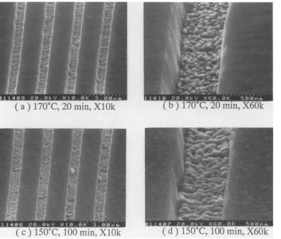 Fig. 9. SEM micrographs  show-  ing  surface  morphology  of  CVD  Cu  deposited  on  AI/PECVD  SiO2  fine  line  patterned  substrate at a  pressure of  10  mTorr and  with  a  source temperature  of  60~  and  Ar  carrier  gas  flow  of  20  sccm