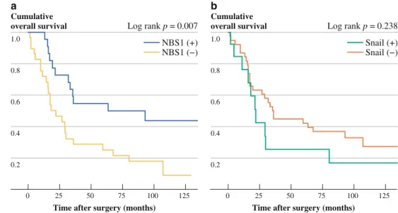 FIG. 4 Survival curves of patients who did not receive postoperative adjuvant therapy (T1-3N0M0 status, stage I and IIA, n = 51): a with or without NBS1 overexpression