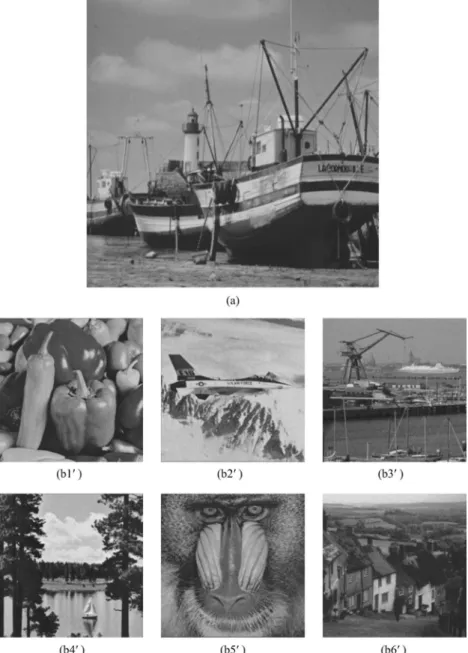 Fig. 6 共a兲 The original Boat image of size 512⫻512. 共b1 ⬘ 兲–共b6 ⬘ 兲 The six corresponding 256⫻256