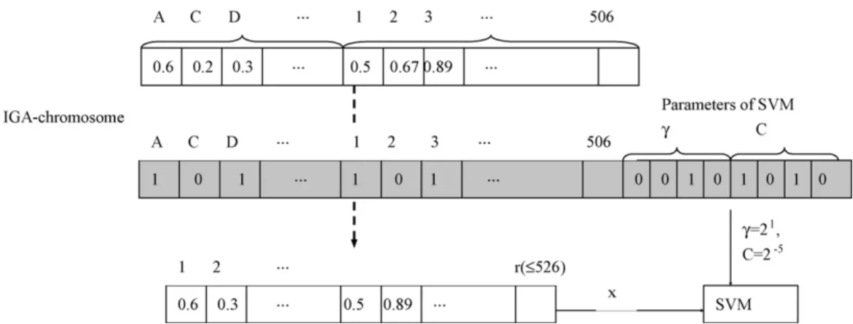 Fig. 1. A protein sequence is represented using a PCC feature vector. A potentially good feature set cooperated with SVM can be selected by the inheritable genetic algorithm (IGA) with the IGA-chromosome encoding method.