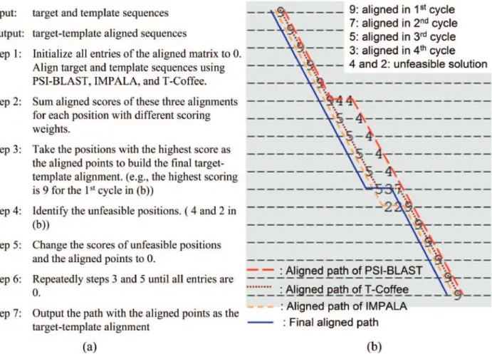 Figure 2. Template selection and target–template alignment in (PS) 2 . (a) The consensus algorithm with T-Coffee, PSI-BLAST and IMPALA