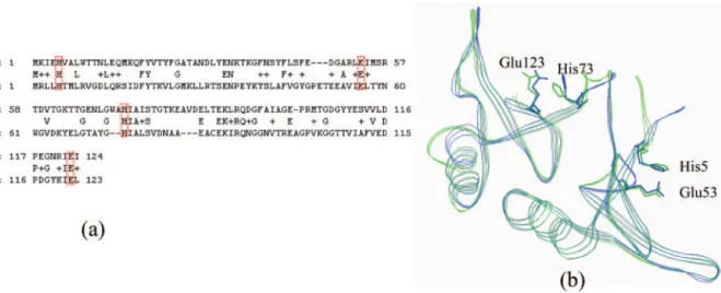 Figure 4. Predicted structure results of the (PS) 2 server using F2365 glyoxalase protein (AAT03210) sequence from L.monocytogenes as a query