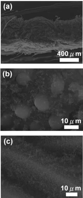 Figure 1 demonstrates the scanning electron microscope 共SEM兲 images of the CNT-grown carbon cloth with selective areas enlarged for better contrast