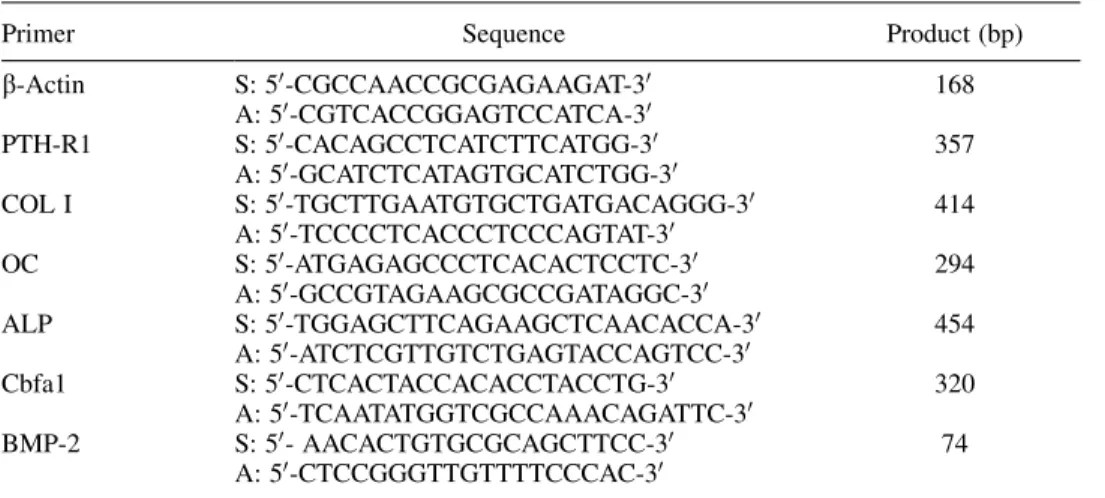 TABLE 1. Primers used for RT-PCR