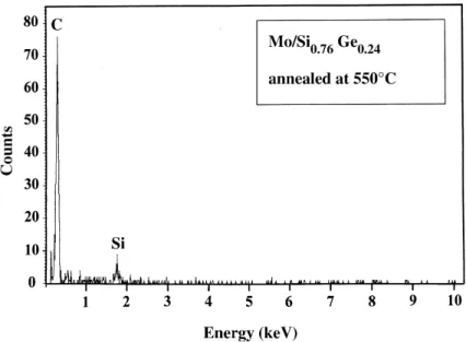 Fig. 2. EDS spectra of the amorphous structures appearing in Fig. 1(a).