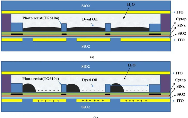 Figure 3. The  cross-section  drawn  of  EDW: (a) the driving voltage is off, (b) the driving voltage is on