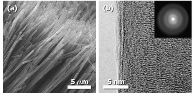 Fig. 1 – (a) SEM and (b) high-resolution TEM images of carbon nanofilaments (Sample A) produced by carbonizing the pitch in the channels of nanoporous AAO