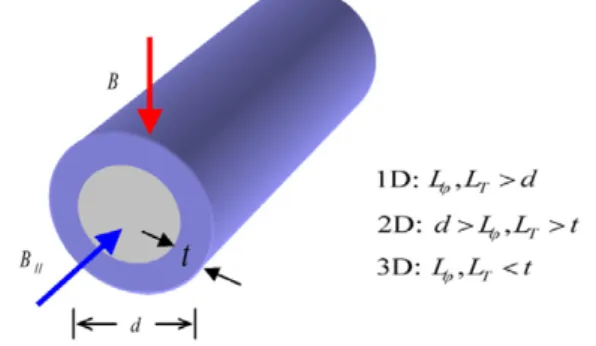 Figure 1. A schematic diagram for our proposed core–shell-like structure in IZO NWs. The blue outer shell of thickness t is responsible for the WL and the EEI transport