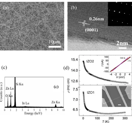 Figure 2. (a) An SEM image of as-grown IZO NWs on a tin-coated Si substrate. (b) An HRTEM image of a single IZO NW