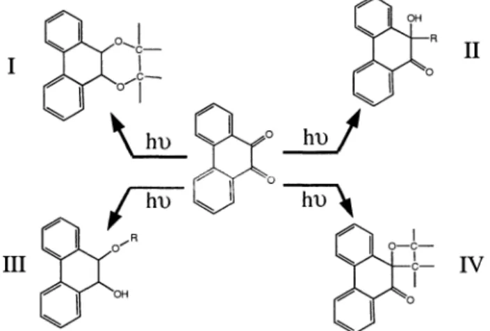 Figure 1 Four different compounds based on one PQ molecule to one MMA molecule could be formed under light exposure.
