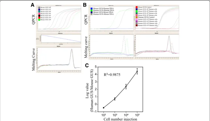 Fig. 3 QPCR evaluation of human CTC numbers in peripheral mouse blood. a For the generation of absolute QPCR analysis, the mouse GUS PCR products were cloned into a TA vector, followed by gene sequencing, E