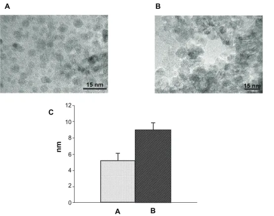 Figure 2 Typical transmission electron microscopy images of (A) synthesized MNPs and (B) APTES-modified MNPs, with (C) a bar chart indicating their respective average 