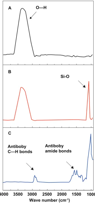 Figure 3 Synchrotron XRD spectra of (A) α-Fe 2 O 3 , ( B) Fe 3 O 4 , ( C) MNPs, and (D) 