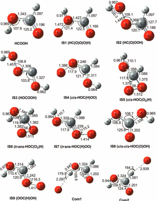 FIG. 8. Geometries of representative reactants and intermediates of the O( 1 D) + HCOOH reaction optimized with the B3LYP/6-311++G(3df,2p) method.
