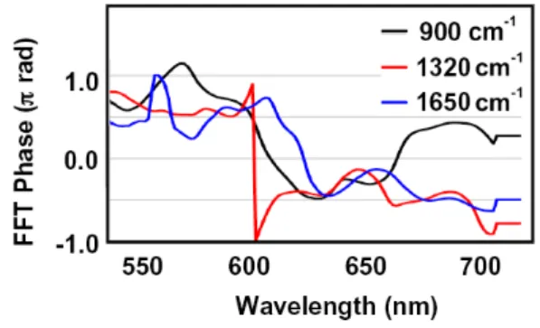 Figure 2. Fourier initial phase spectra of 900 cm −1  (black line), 1320 cm −1  (red line), and  1650 cm −1  (blue line) modes