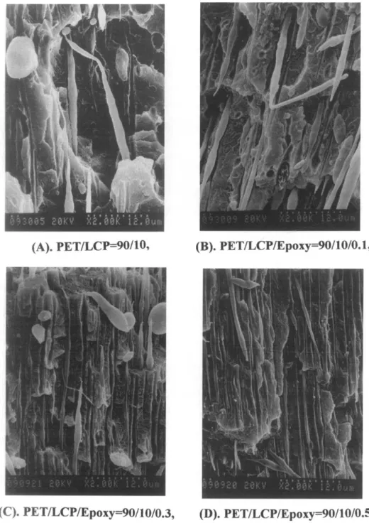 Figure  7  S E M   micrographs  parallel  to  the  flow  direction  and  near  the  skin  region
