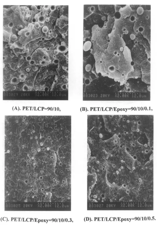 Figure  8  gives  morphologies  also  parallel  to  the  flow  direction but at the core region on a selected blend series,  PET/LCP =  90/10